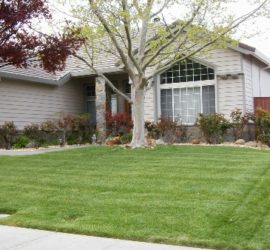 Yard Maintenance near Vacaville, CA