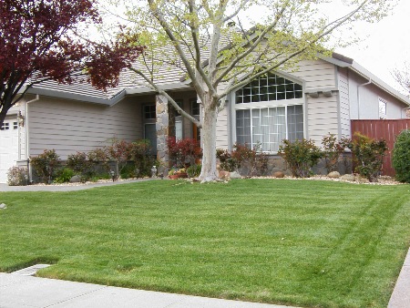 Yard Maintenance near Vacaville, CA